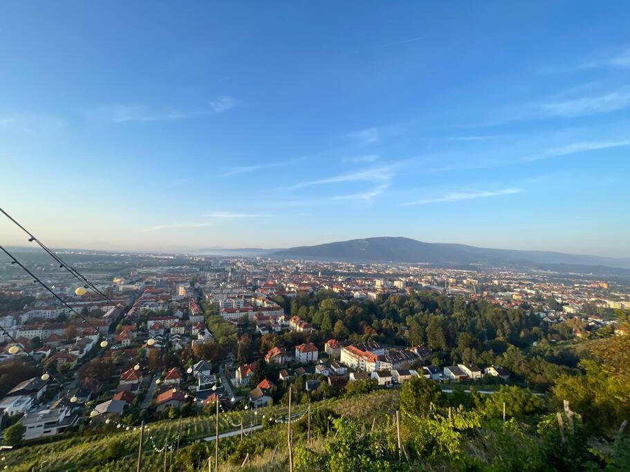 Studio With A View On City Center Park Maribor Eksteriør bilde